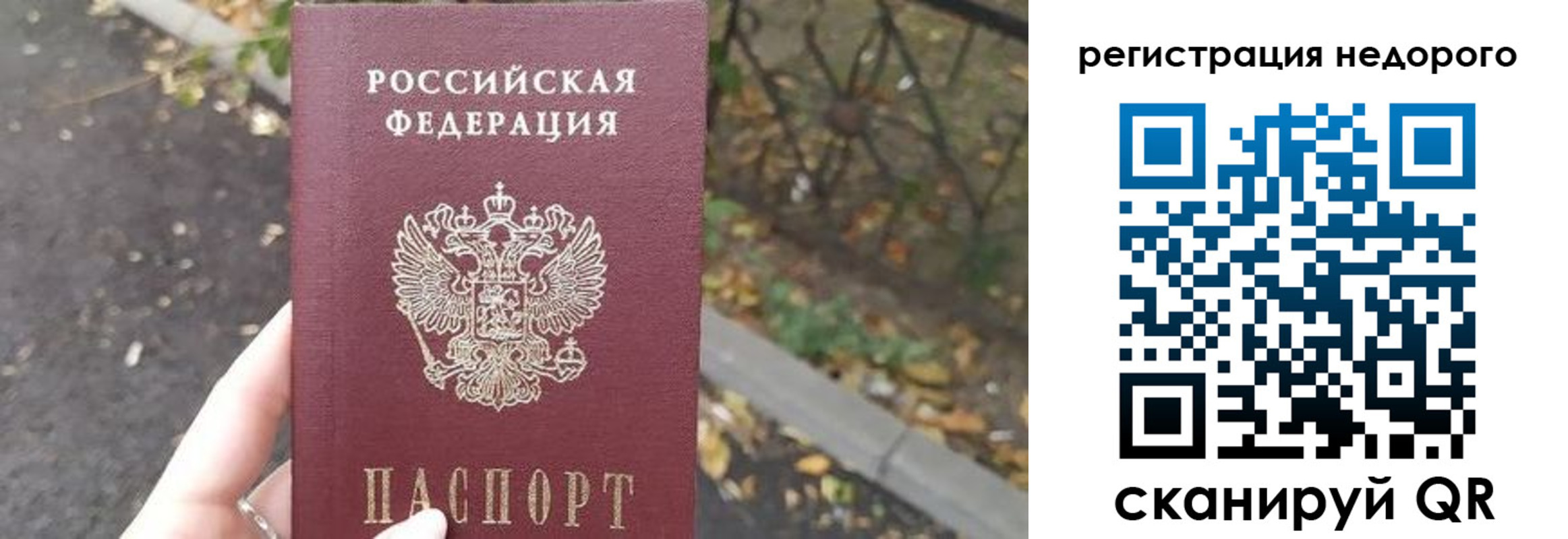 временная регистрация надежно в Железногорске